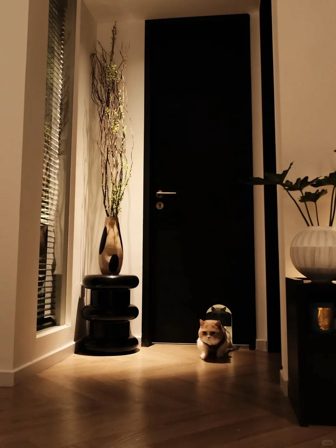 朋友说:把家装成这样是要拍电影吗?