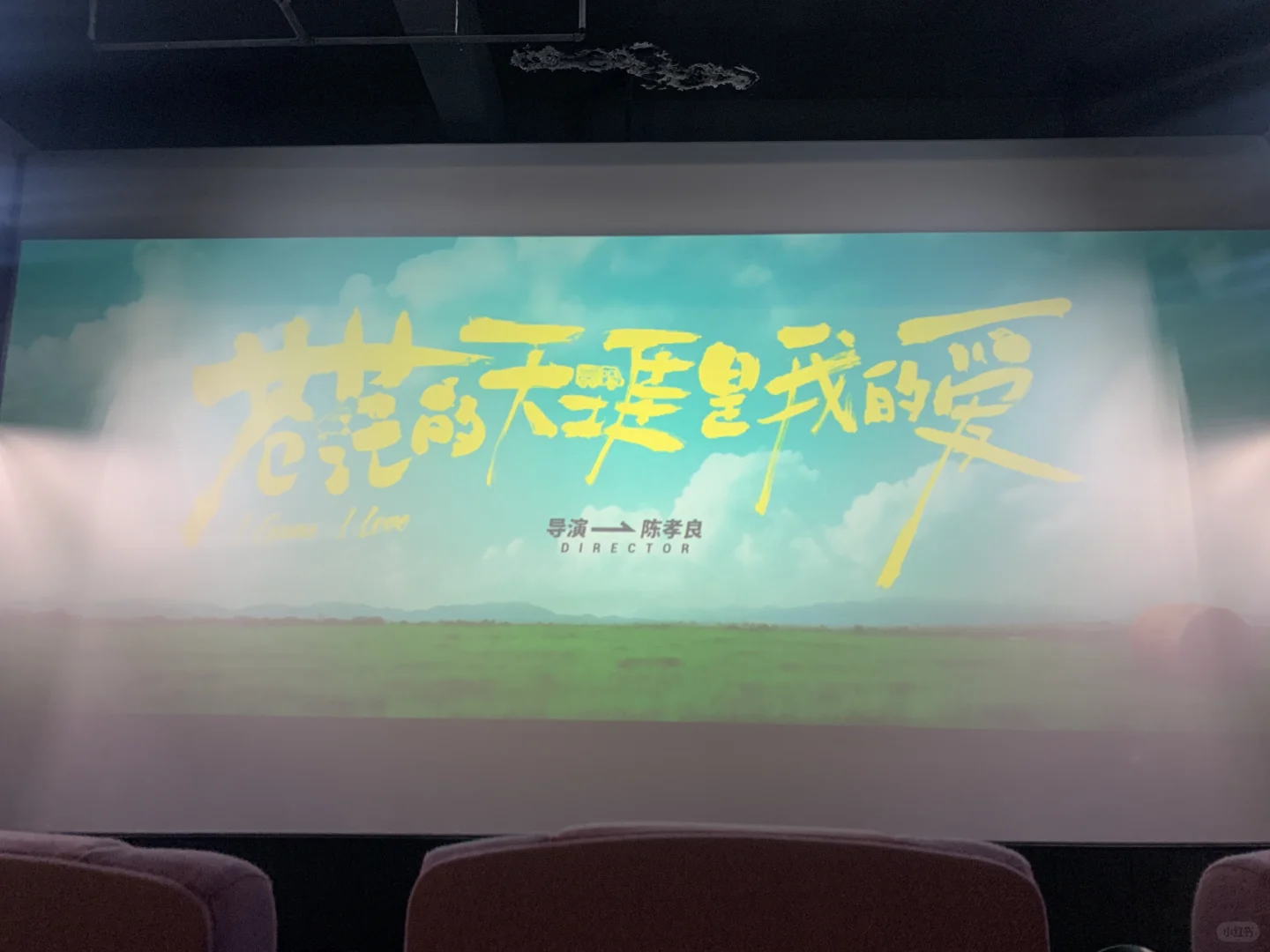 关于🧩苍茫的天涯是我的爱