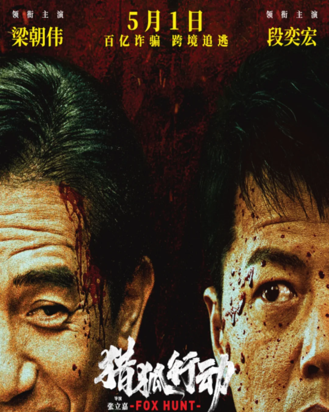 2025年5月即将上映的16部电影🤩🍿