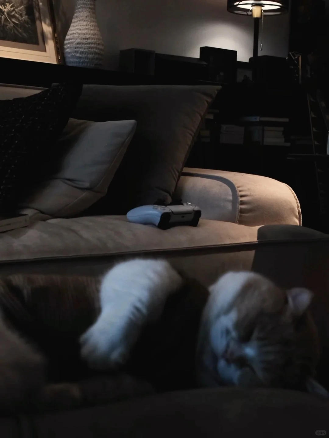 朋友说:把家装成这样是要拍电影吗?