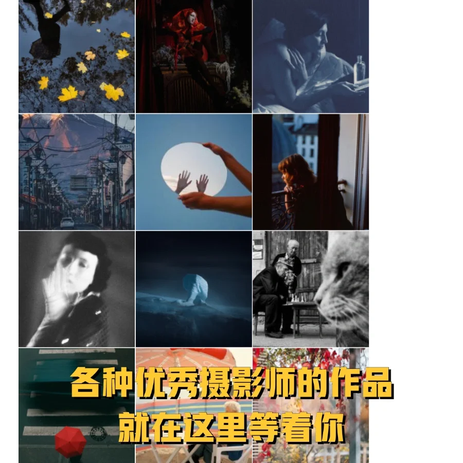 带你看一眼🥸提高审美全靠它了