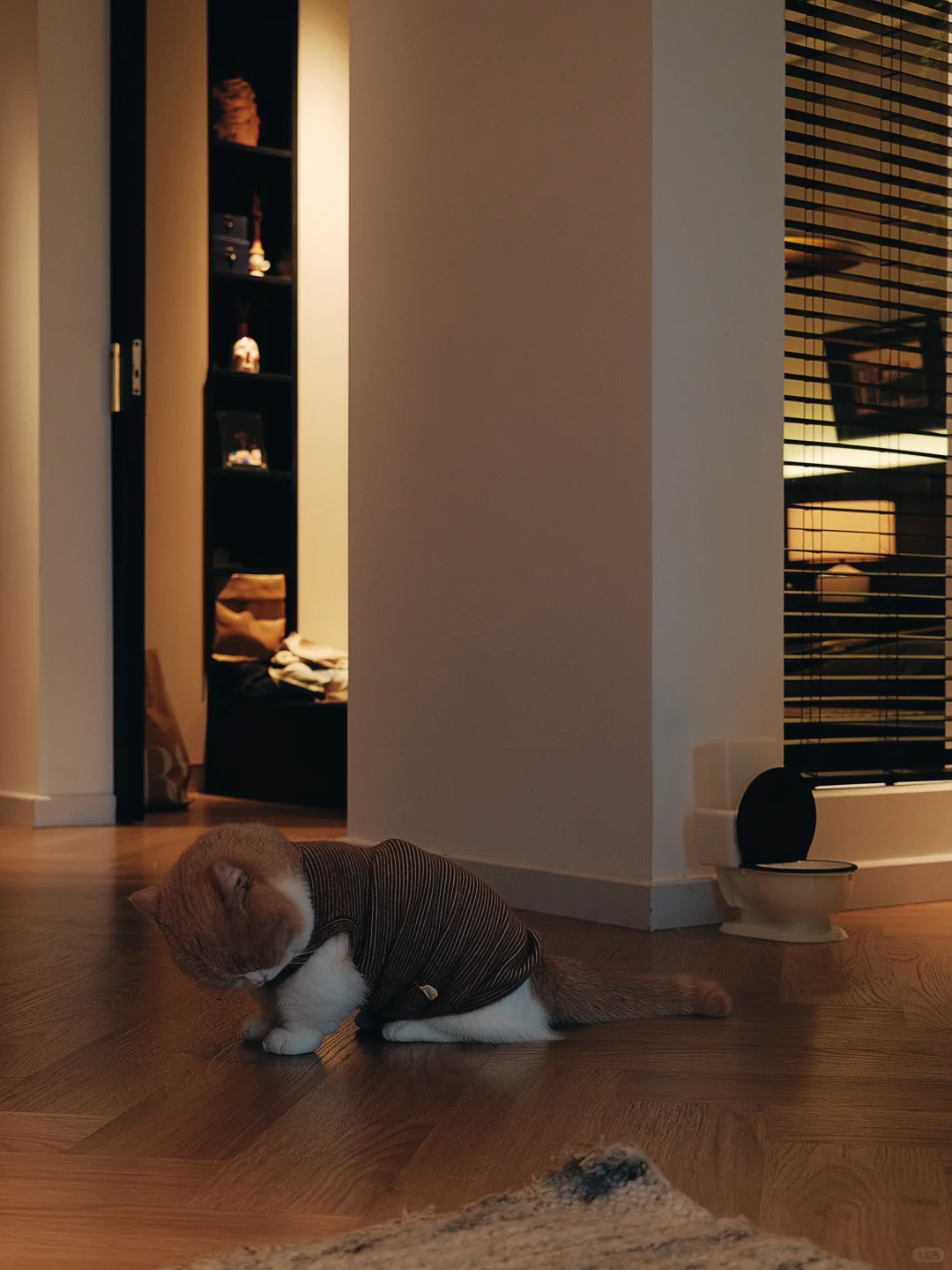 朋友说:把家装成这样是要拍电影吗?