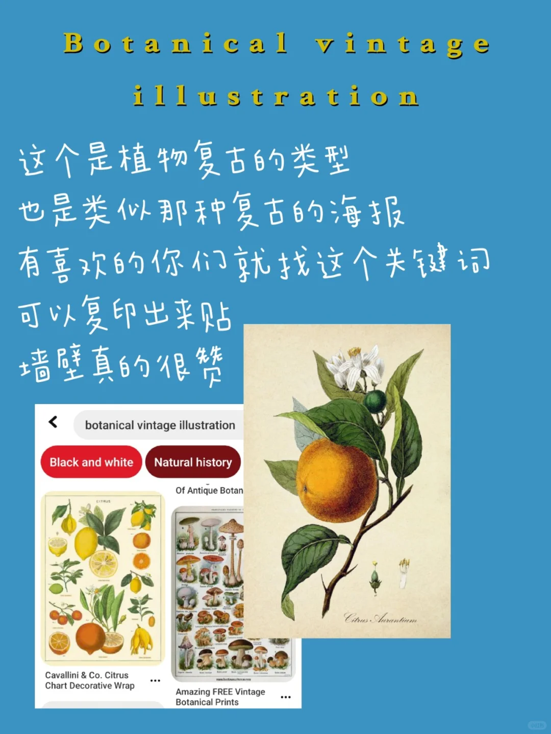 || app 分享【安卓版】🔥|| (上)