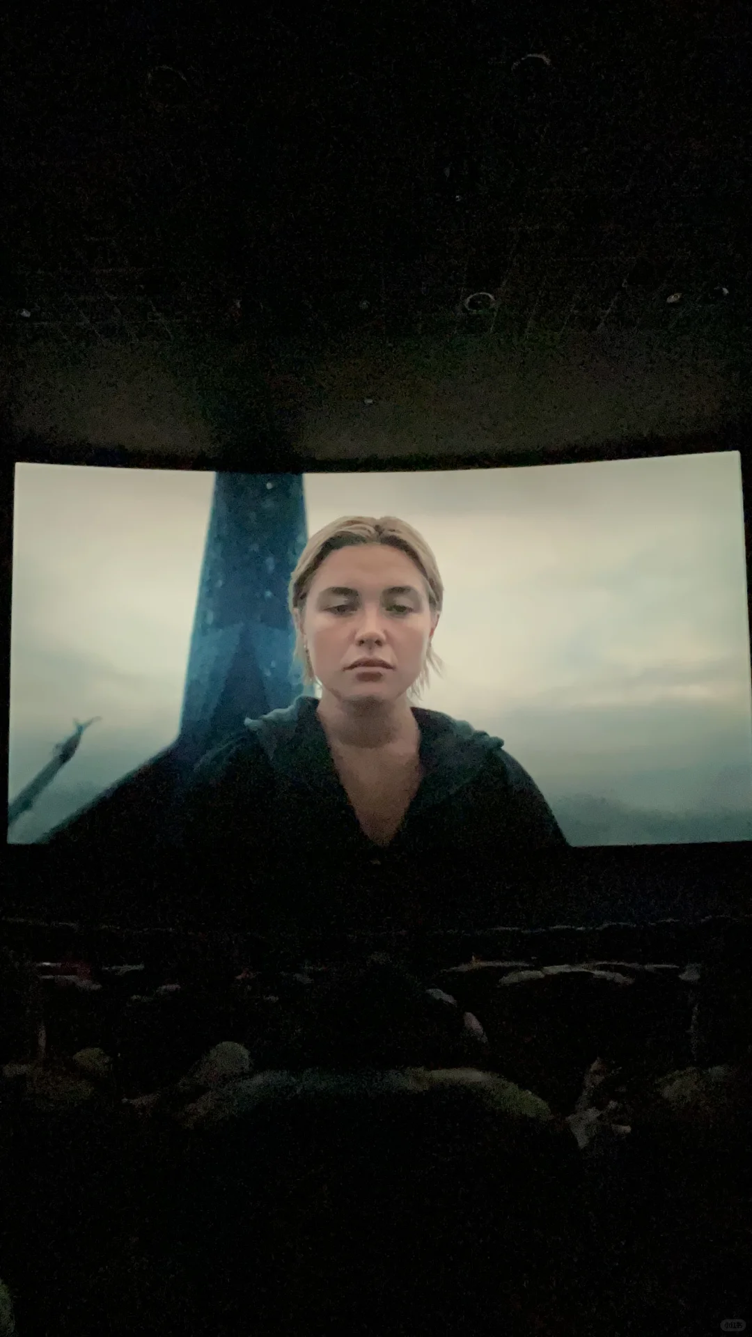 可能是对雷霆特工队期待值太高了…