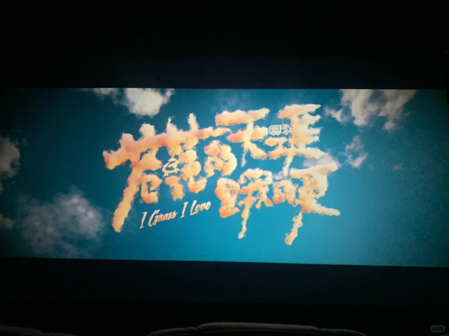 关于🧩苍茫的天涯是我的爱