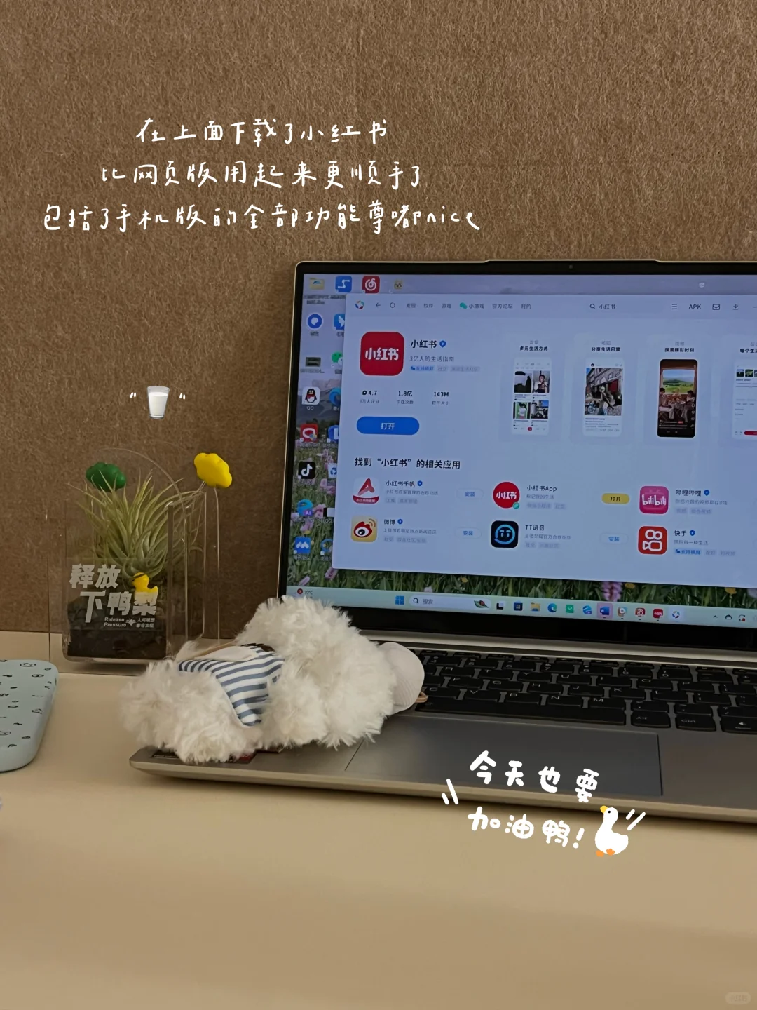 02居家打工人｜真的喜欢当下的悠闲自在