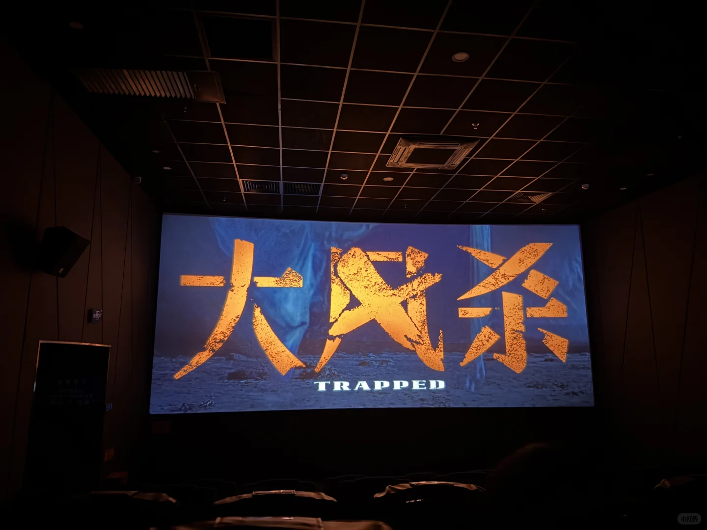 五一档电影🎬到底看点啥