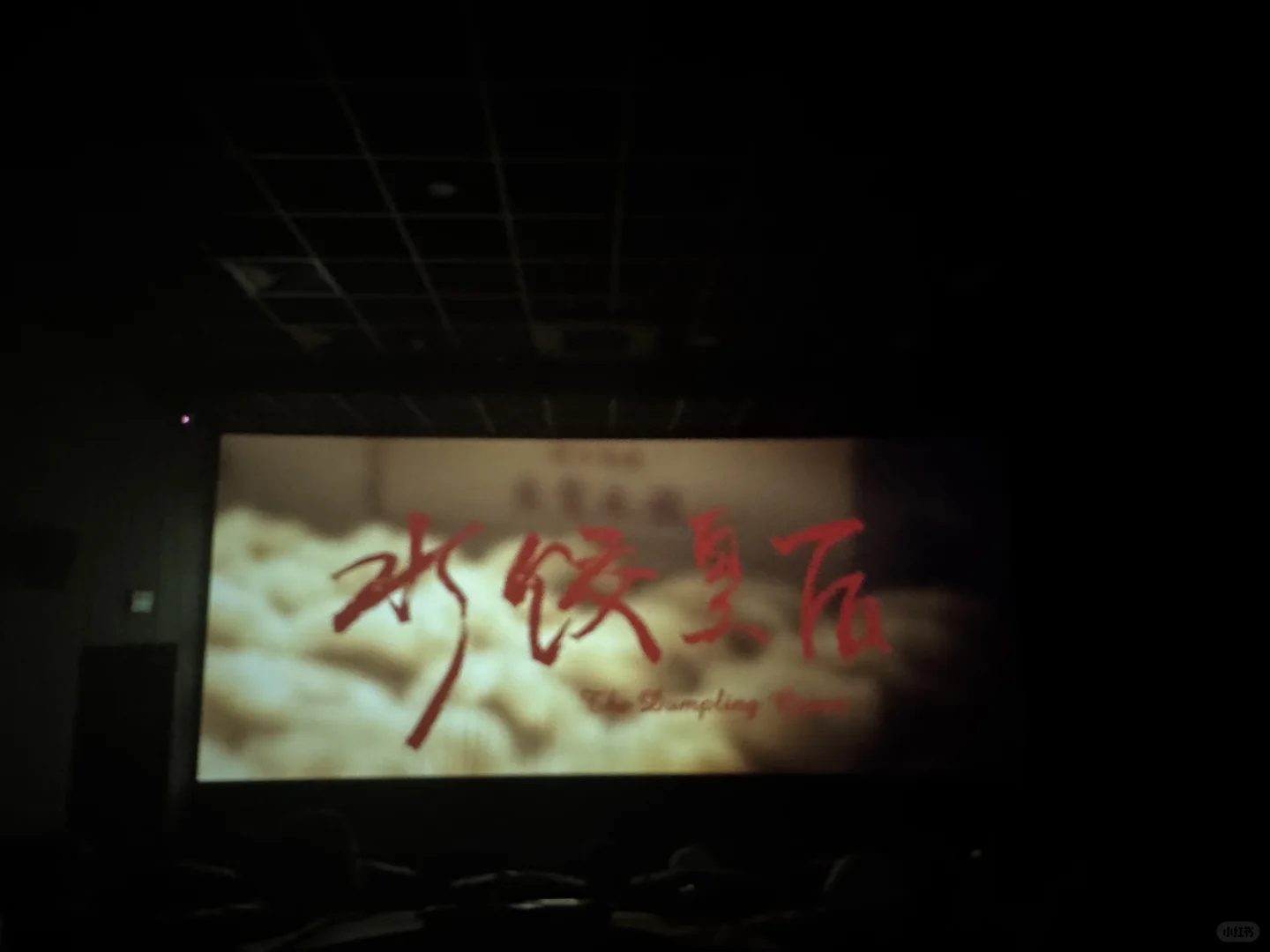 五一档电影🎬到底看点啥