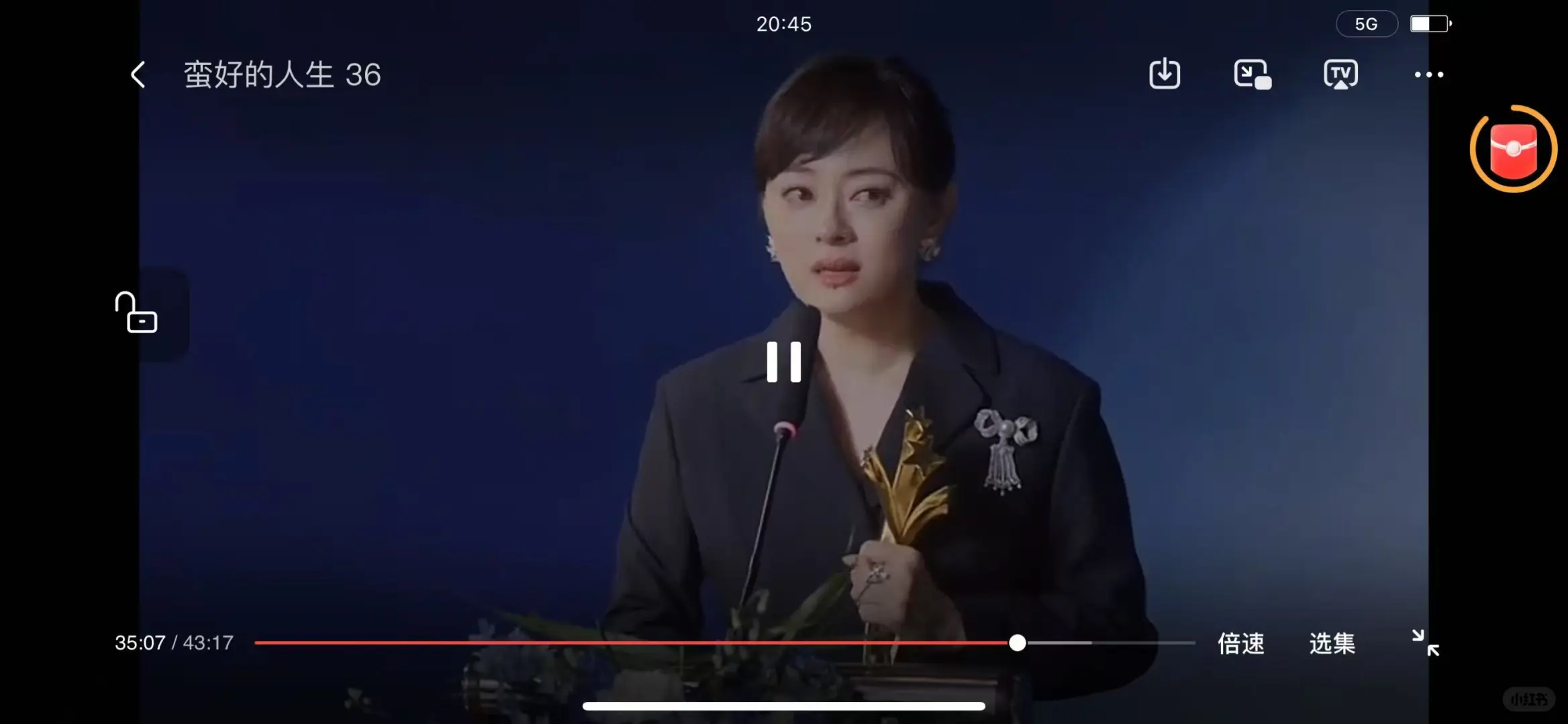 等了超久的橘子🍊终于回来了！