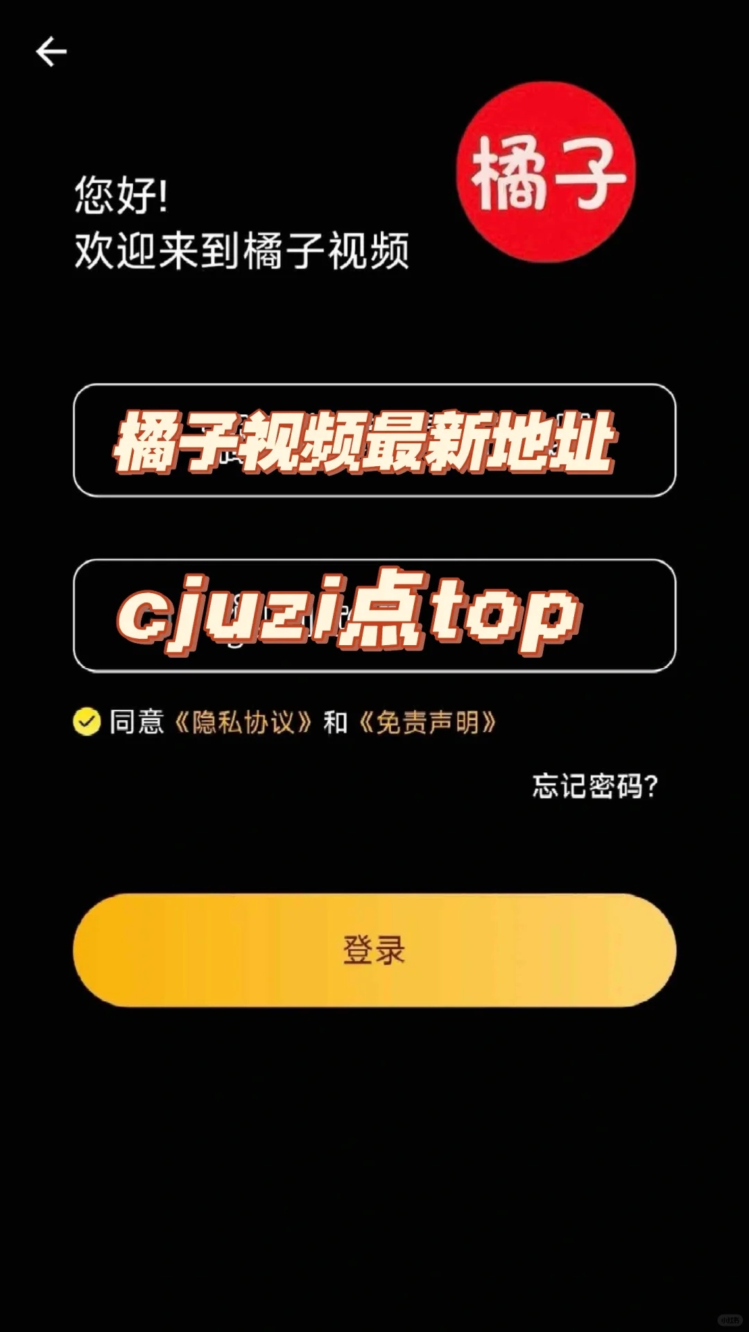 姐姐们，橘子视频，更新安装包啦，安卓iOS