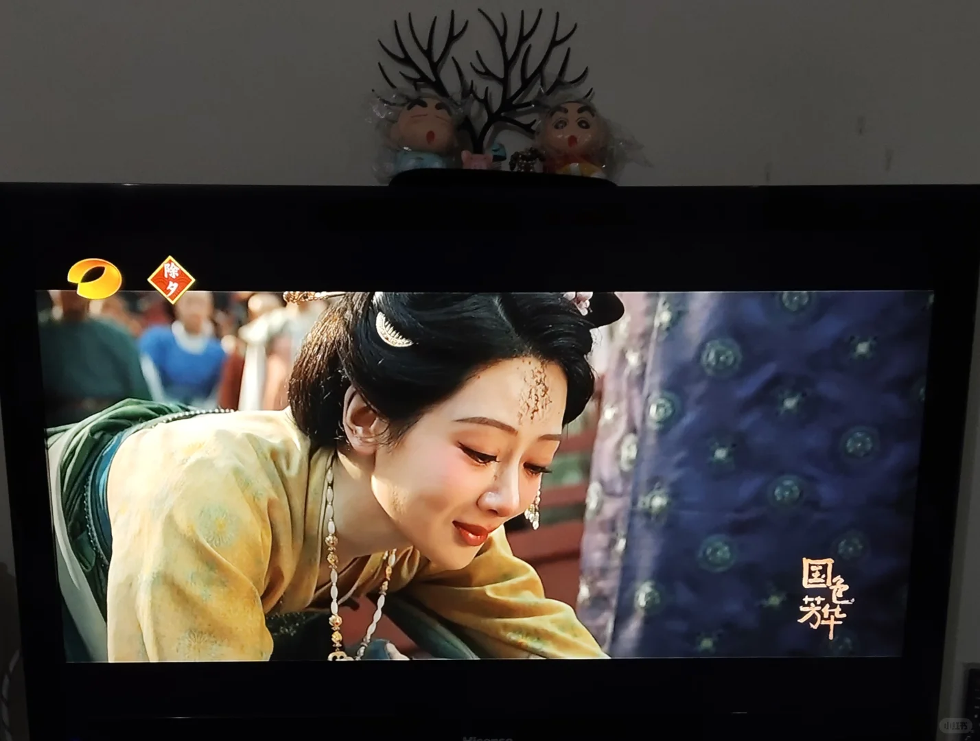 免费看春晚或者地方台