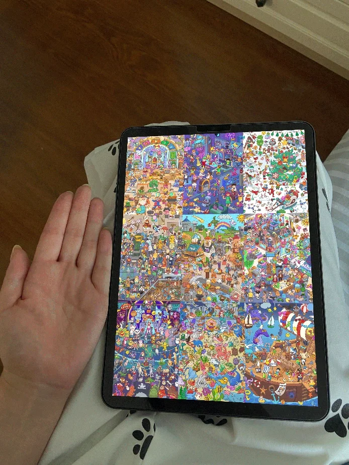 有IPad都去玩这个！！