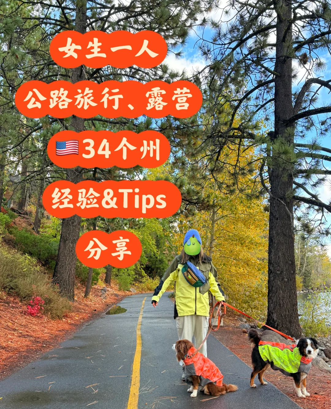 🇺🇸女生一人露营&环美自驾旅行|经验分享