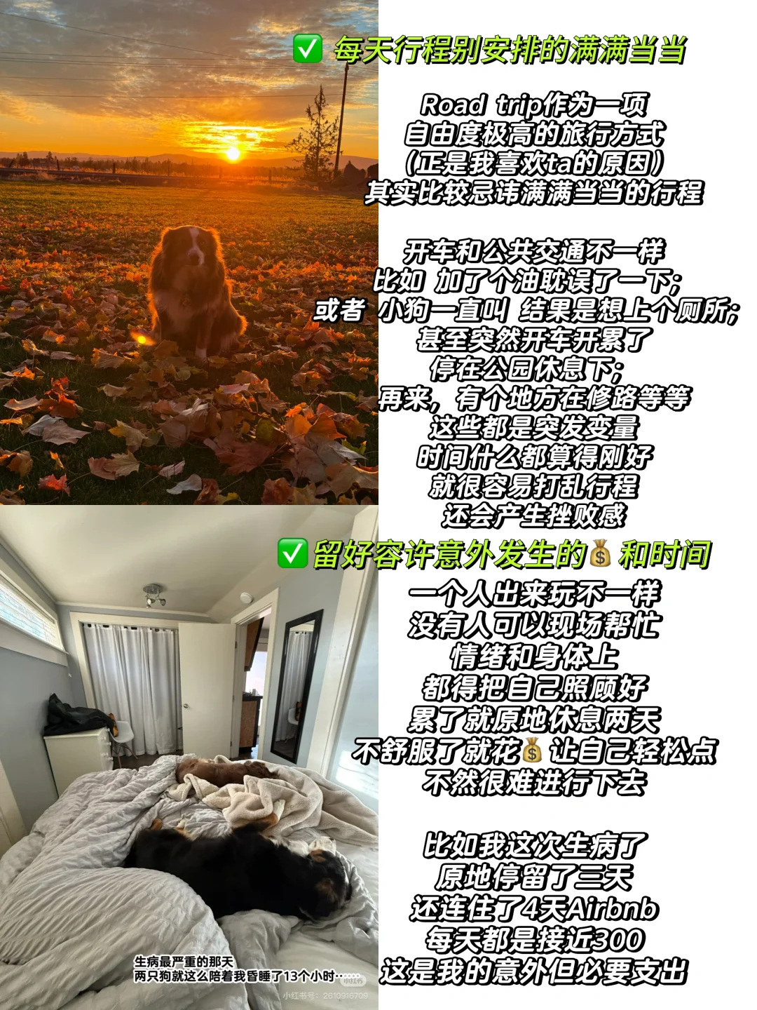 🇺🇸女生一人露营&环美自驾旅行|经验分享