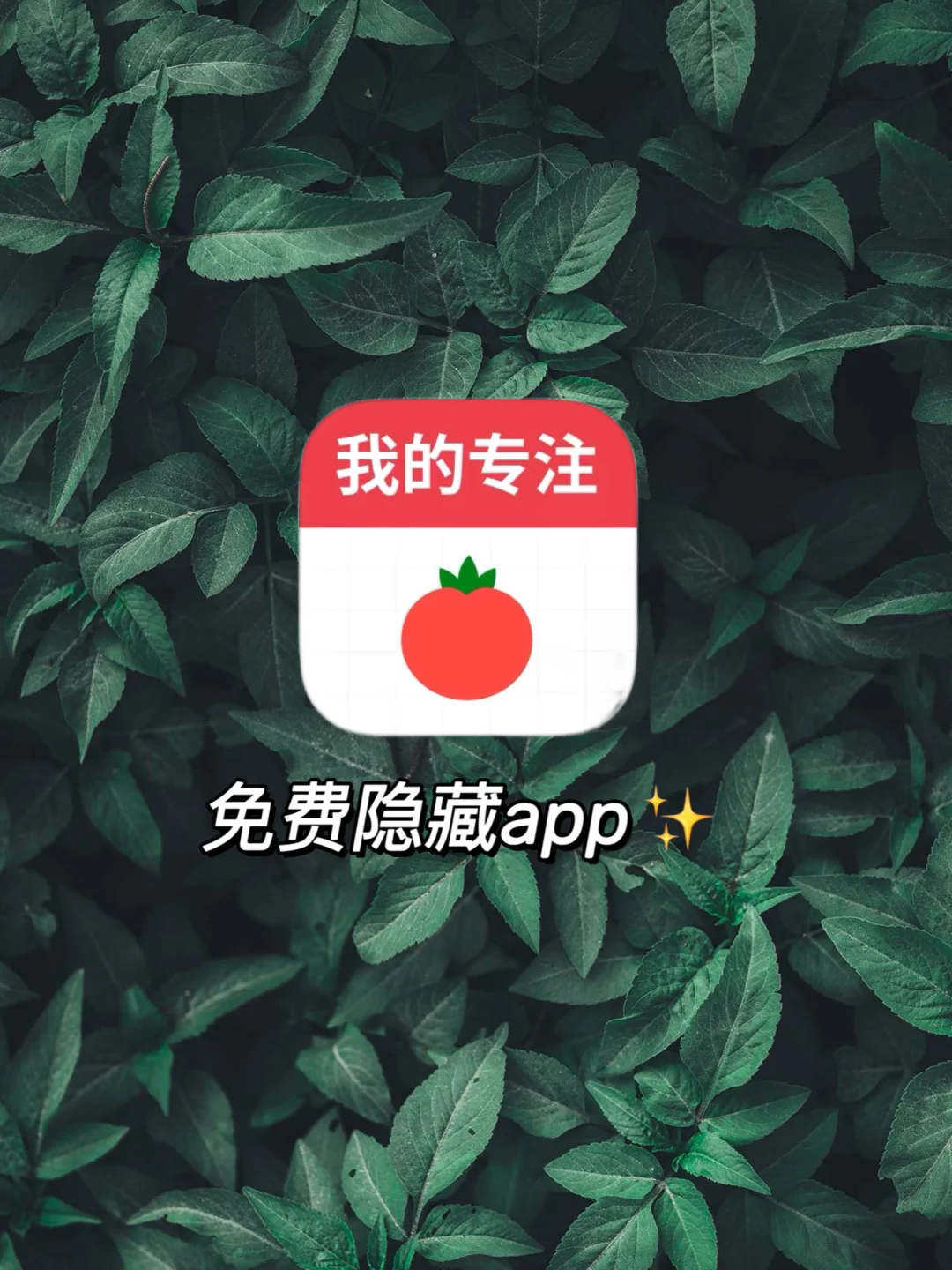 偷偷用吧，千万别被发现🫣