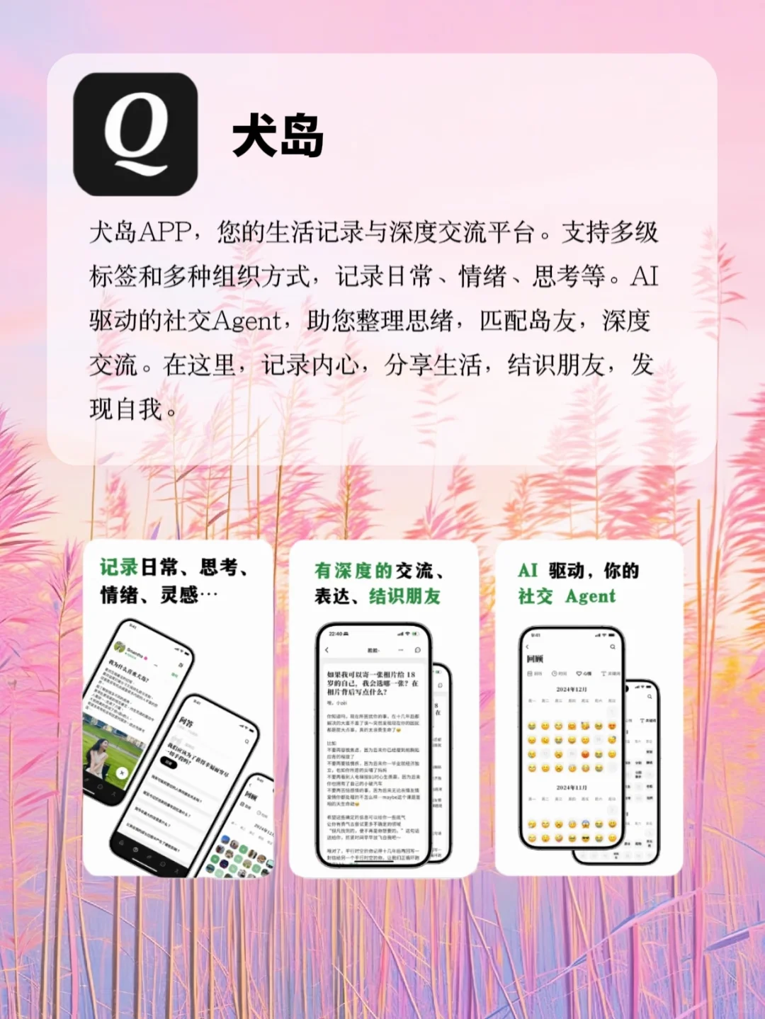 近期超爱的宝藏APP