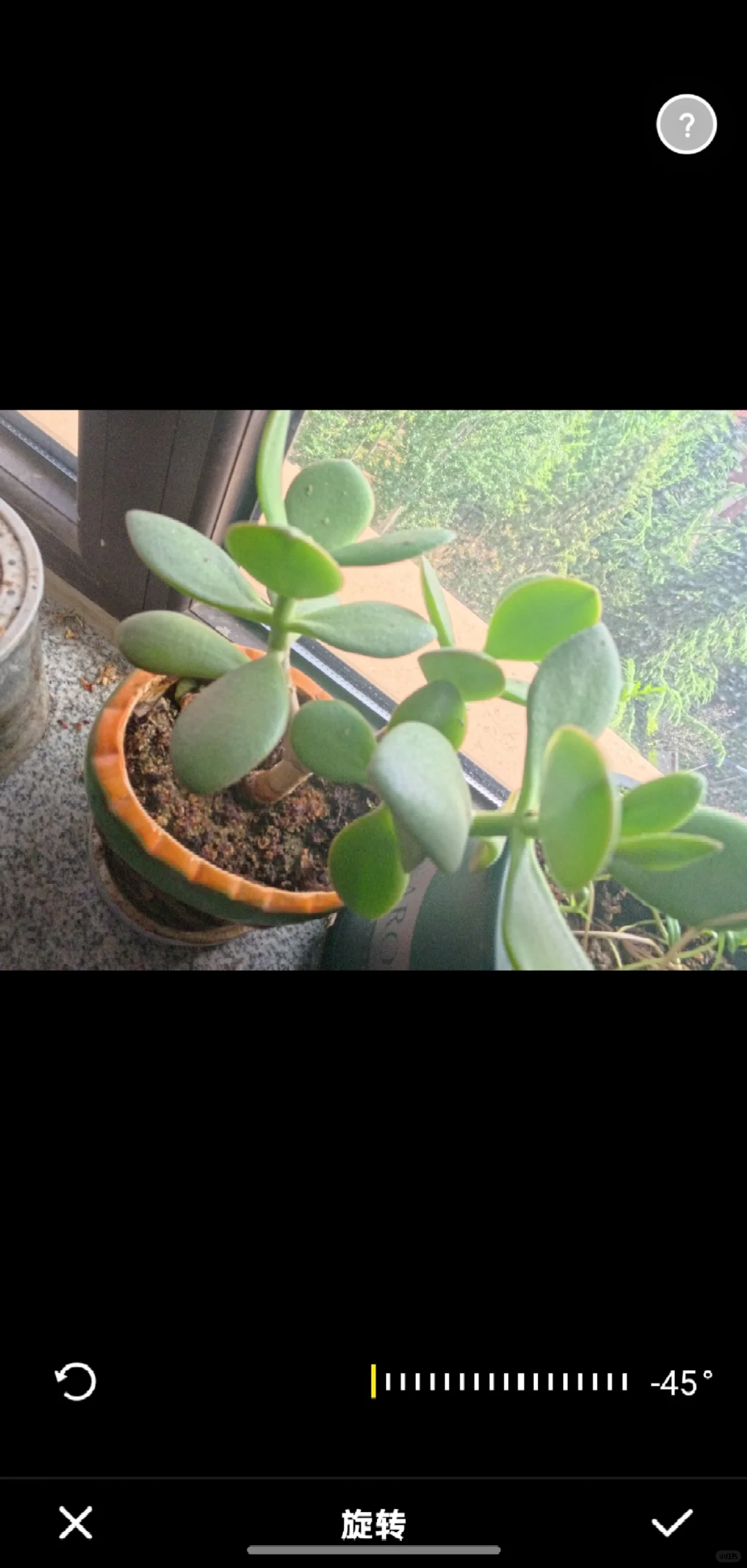 影石insta的手机app体验感太差劲了