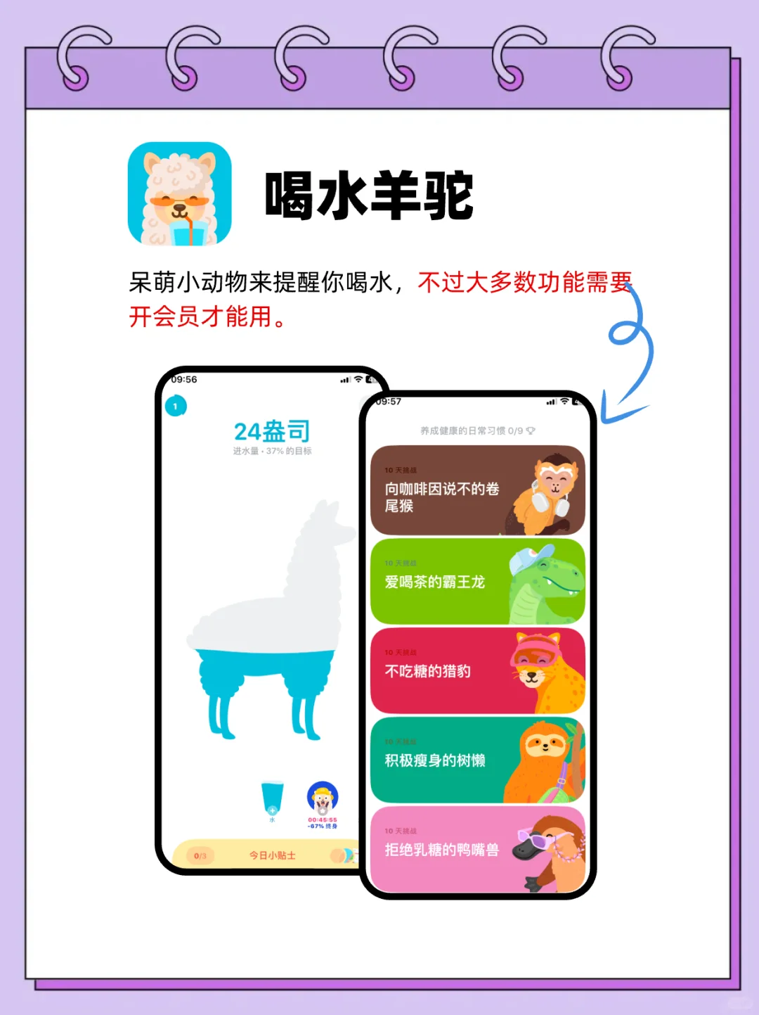 🔥减脂党必入！3款宝藏APP安利