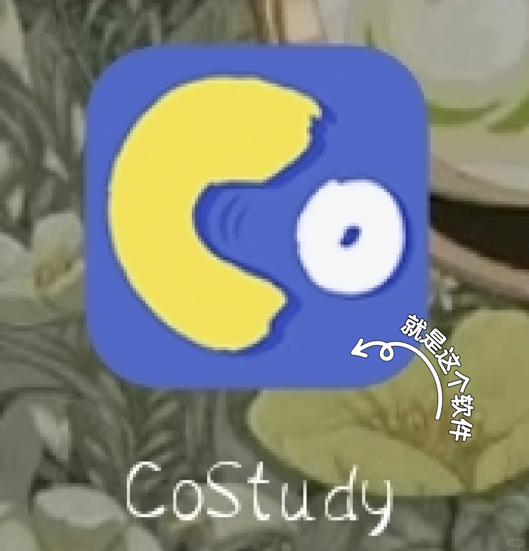 宝藏学习软件，让你的学习软件更有动力☺️