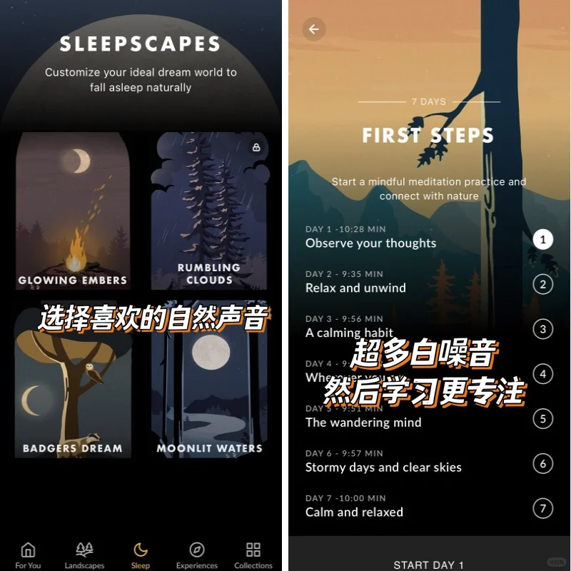 仙气十足的专注APP‼️学生党必备宝藏🔥美哭