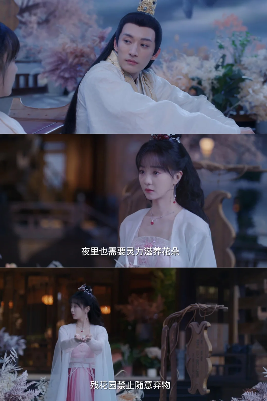 挖到宝啦～追剧党本命app来啦！