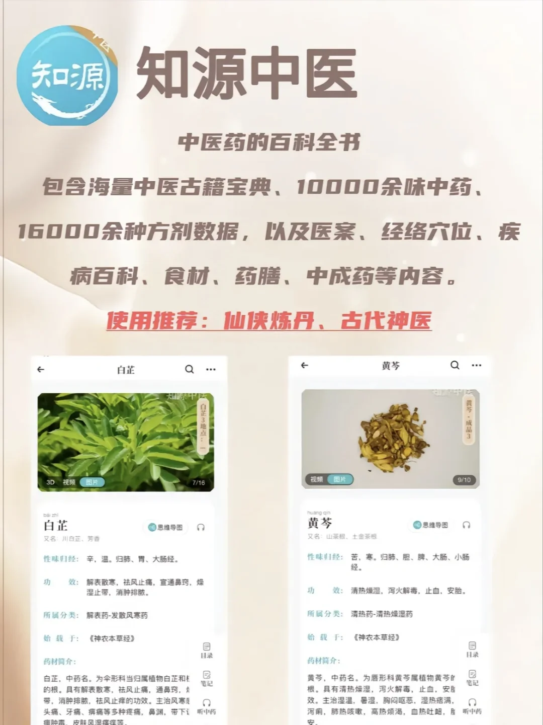 🔥🔥🔥写小说必备app