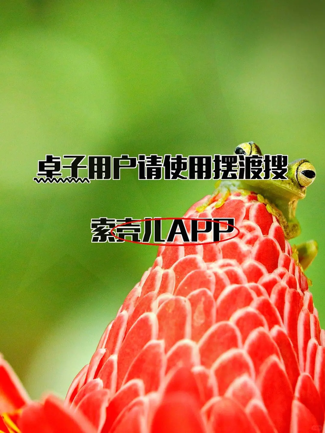 iOS新一期观影神器登场