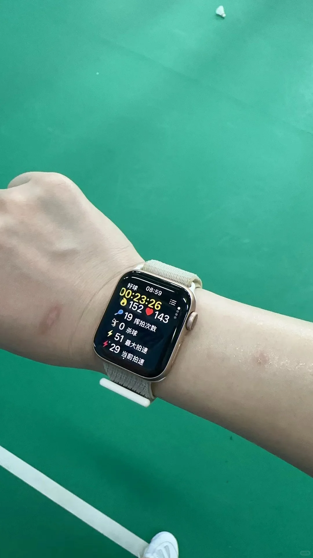 羽毛球app 正式上架鸿蒙