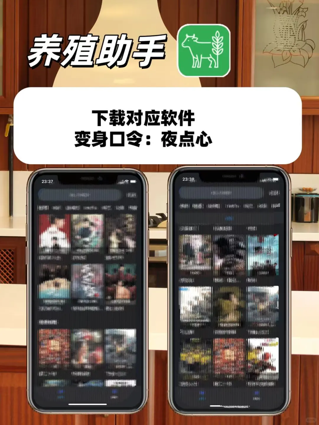 五一在家必备追剧神器（ios安卓）