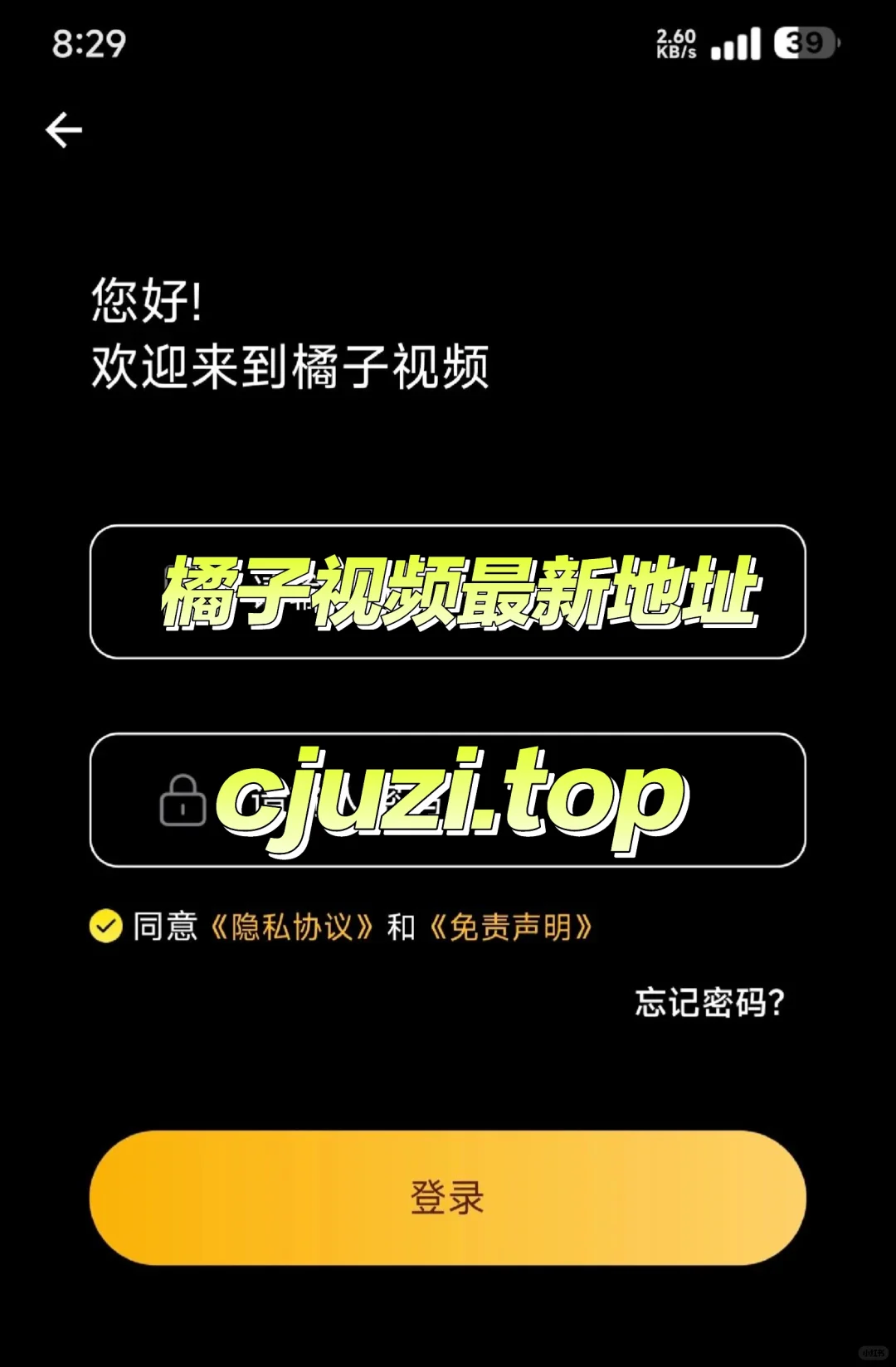 全新升级版橘子🍊