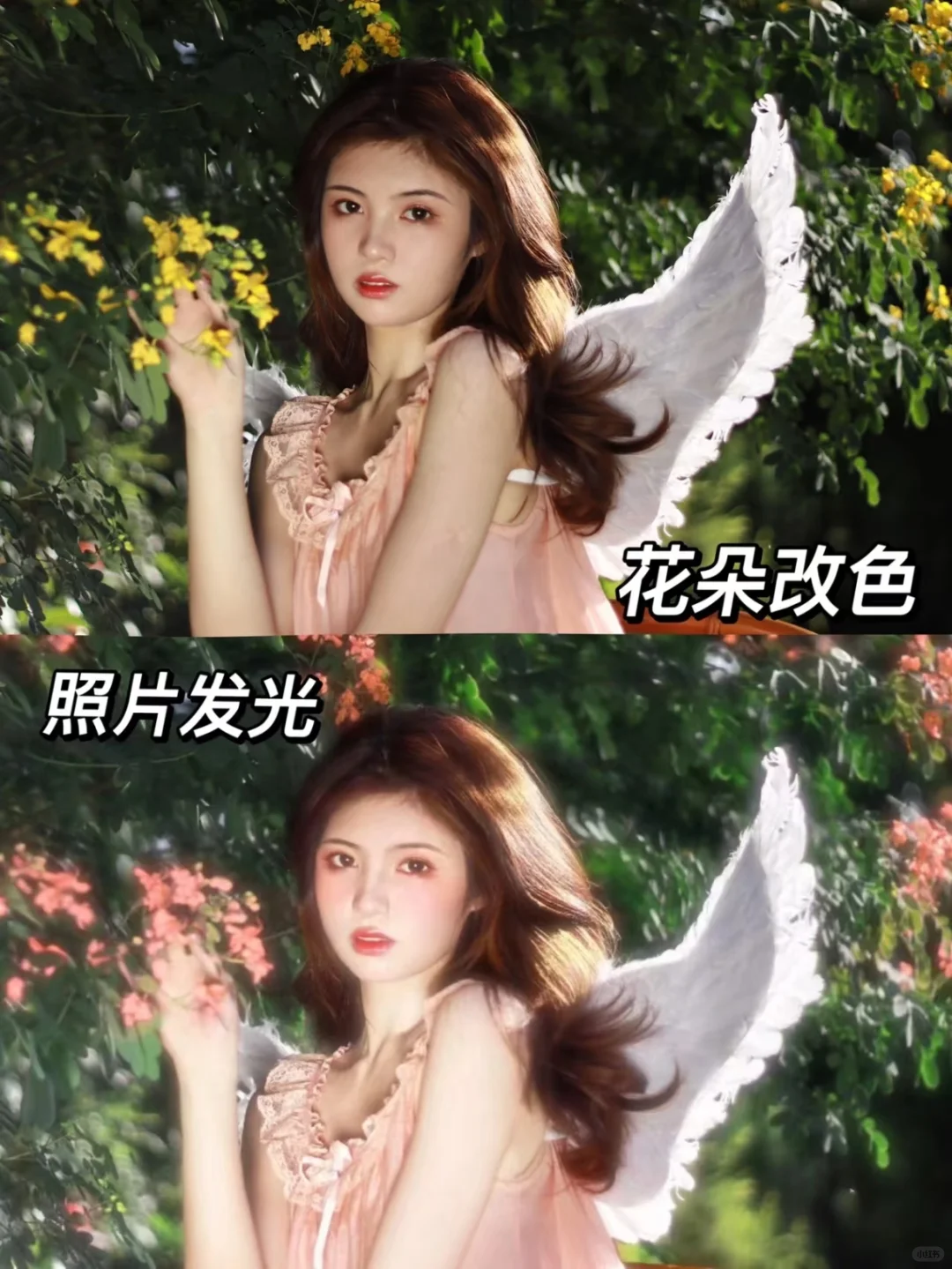 修图神器⁉️泼辣修图终于免费用了！全解锁