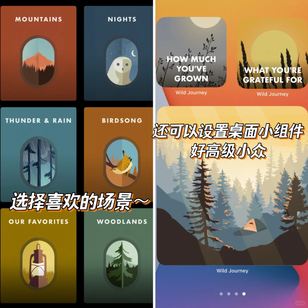 仙气十足的专注APP‼️学生党必备宝藏🔥美哭