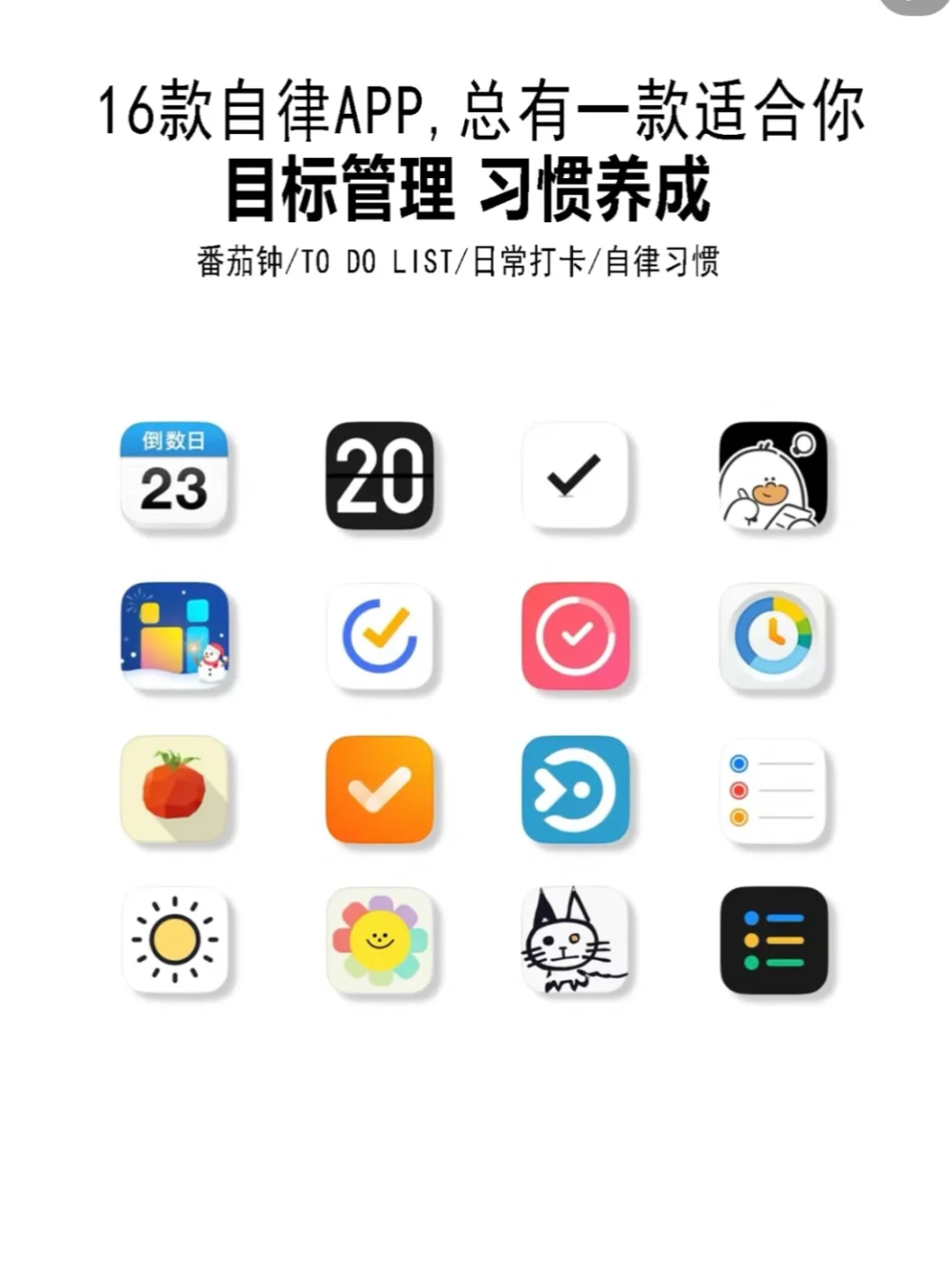 你们都在用什么打卡app