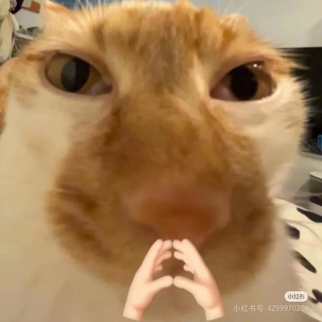 听说苹果手机不能下载那啥小软件