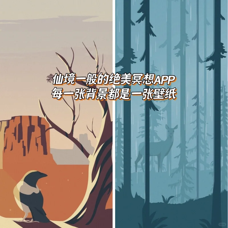 仙气十足的专注APP‼️学生党必备宝藏🔥美哭