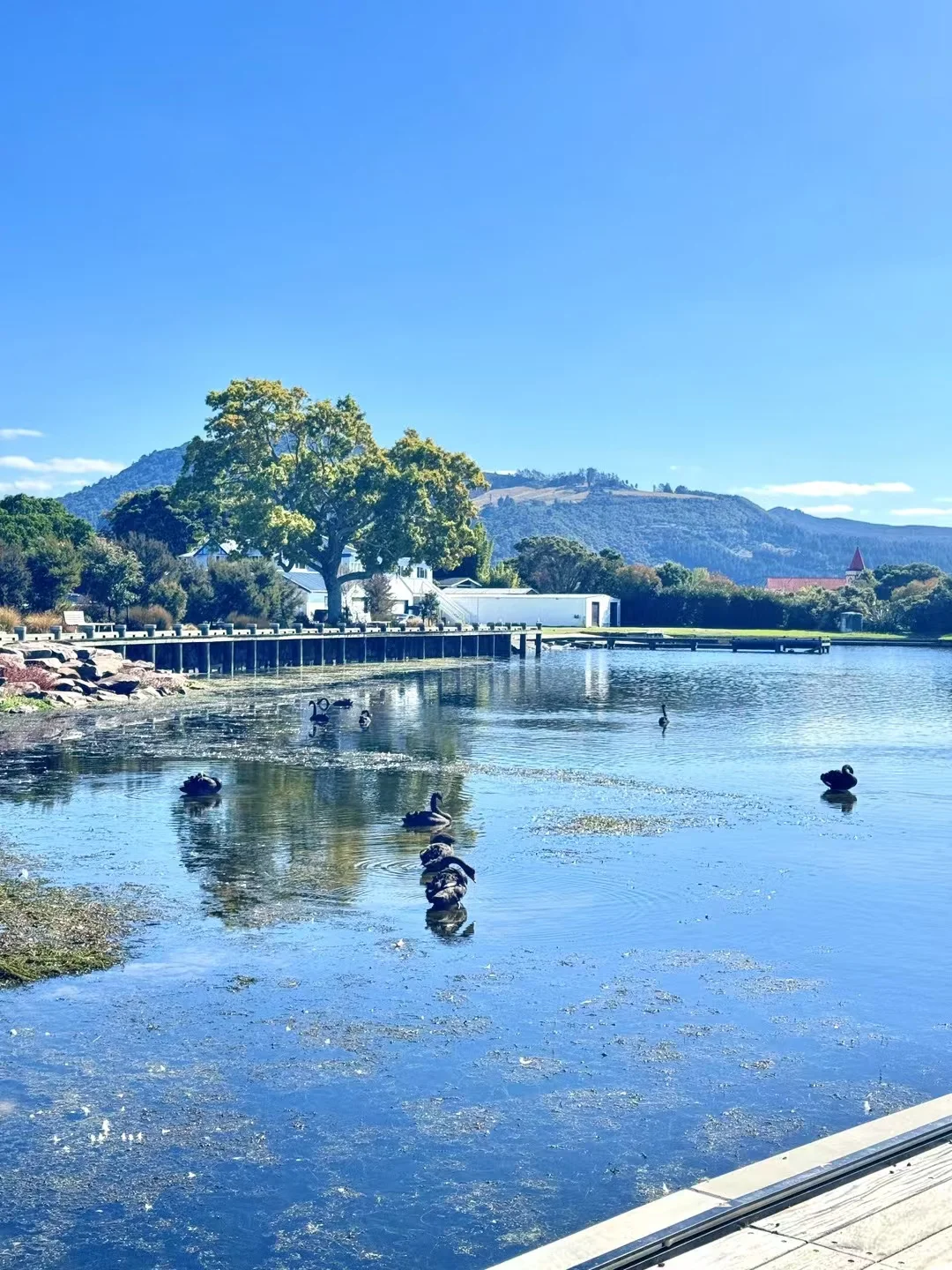 为了小程序的用户我练成了ios开发