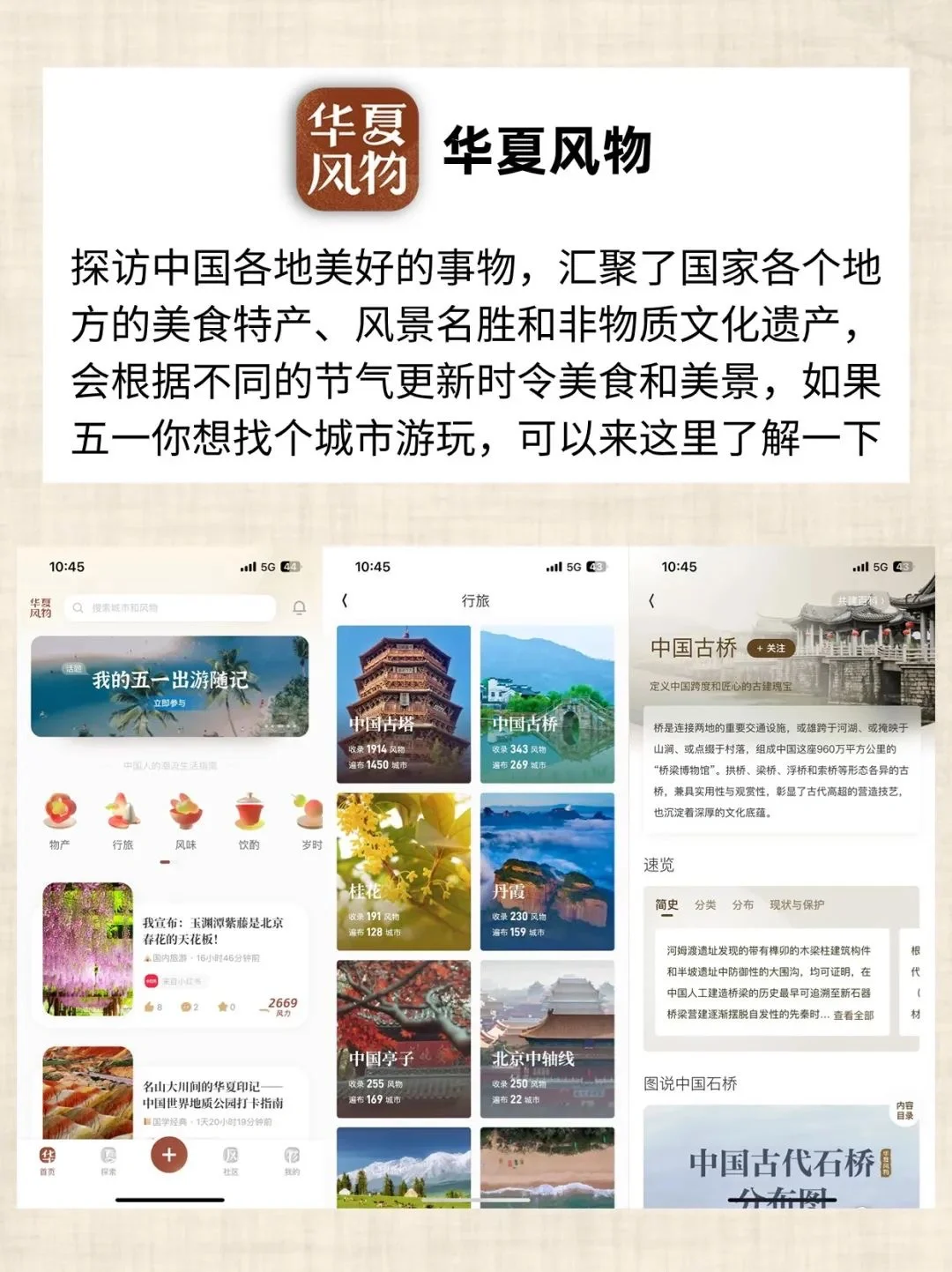语文老师舍不得删的小众宝藏APP分享