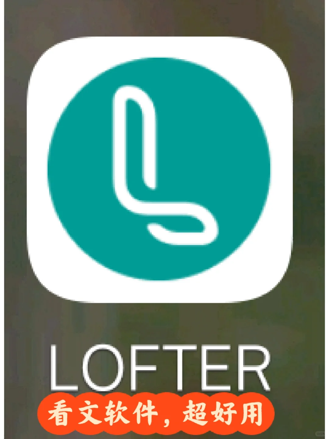 推荐看文软件，楼姐必用