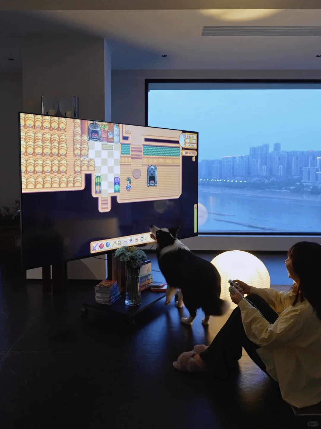 At Home｜在没有「客厅」的家和小狗玩星露谷