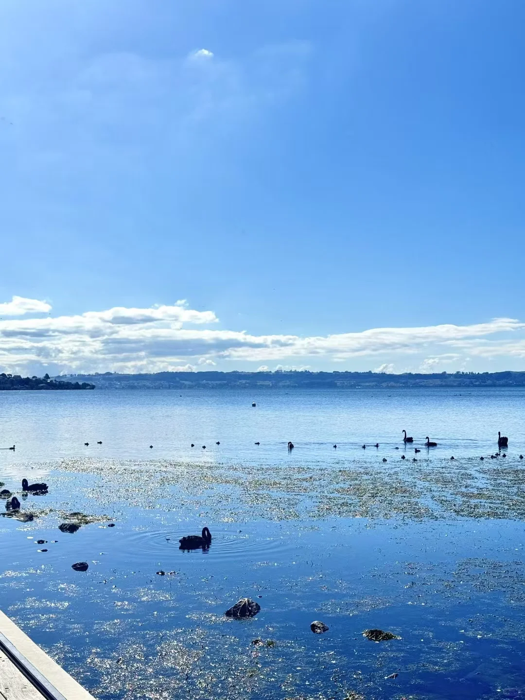 为了小程序的用户我练成了ios开发