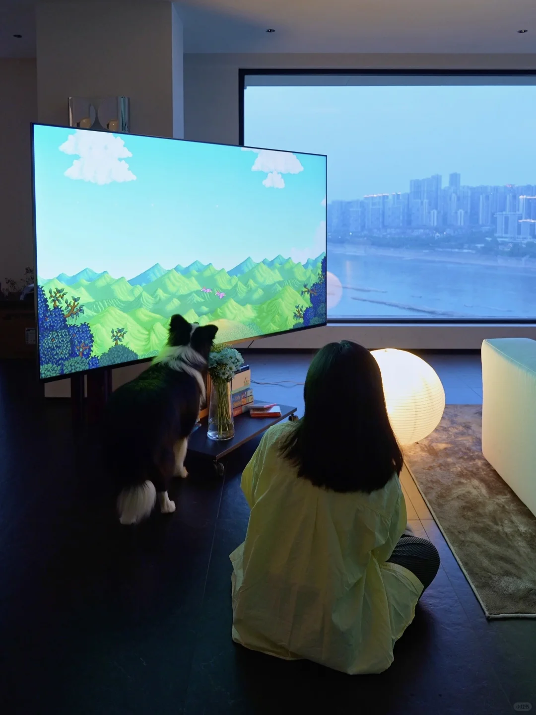 At Home｜在没有「客厅」的家和小狗玩星露谷