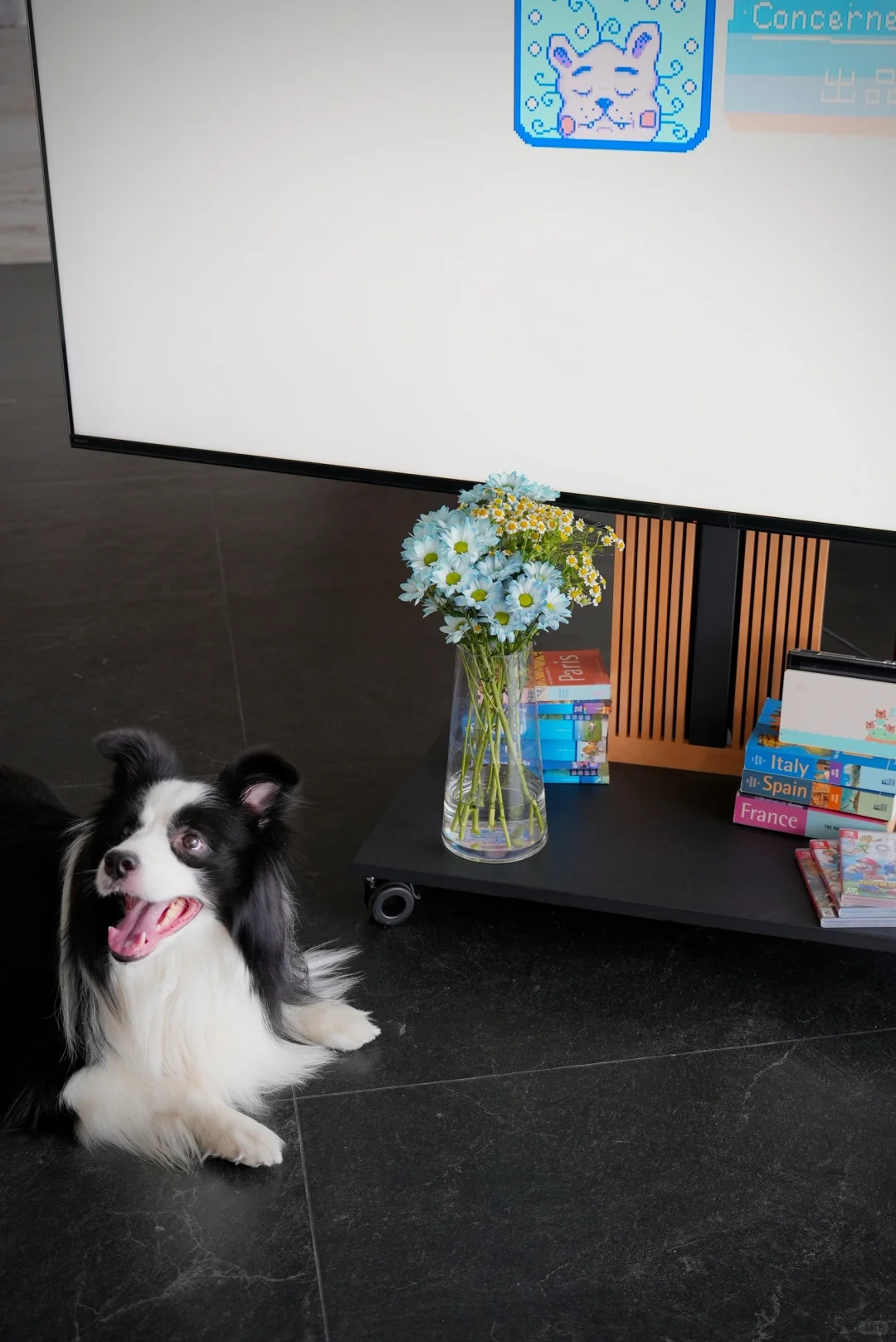 At Home｜在没有「客厅」的家和小狗玩星露谷