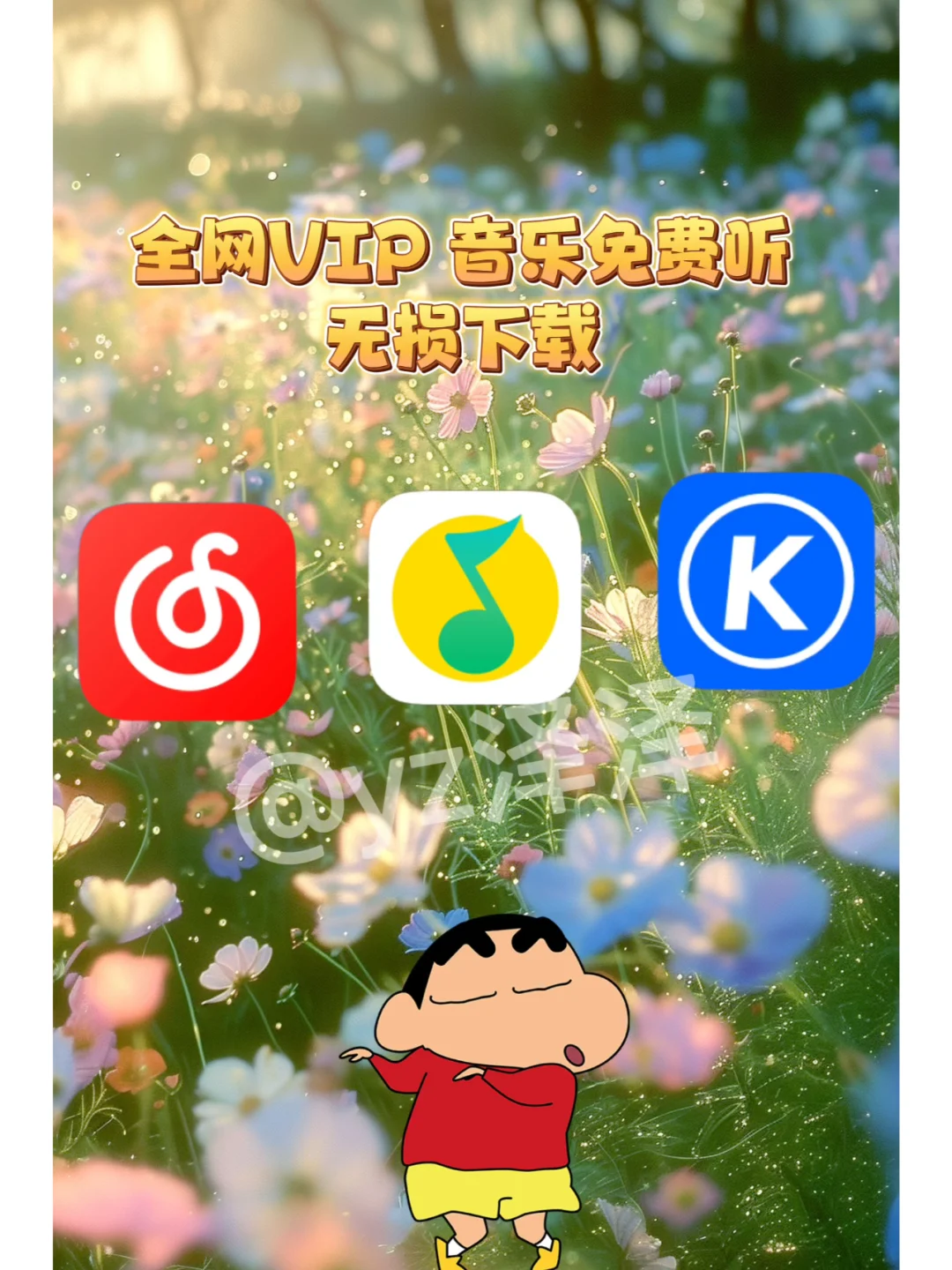🎵这神器让我全网VIP音乐实现听歌自由！