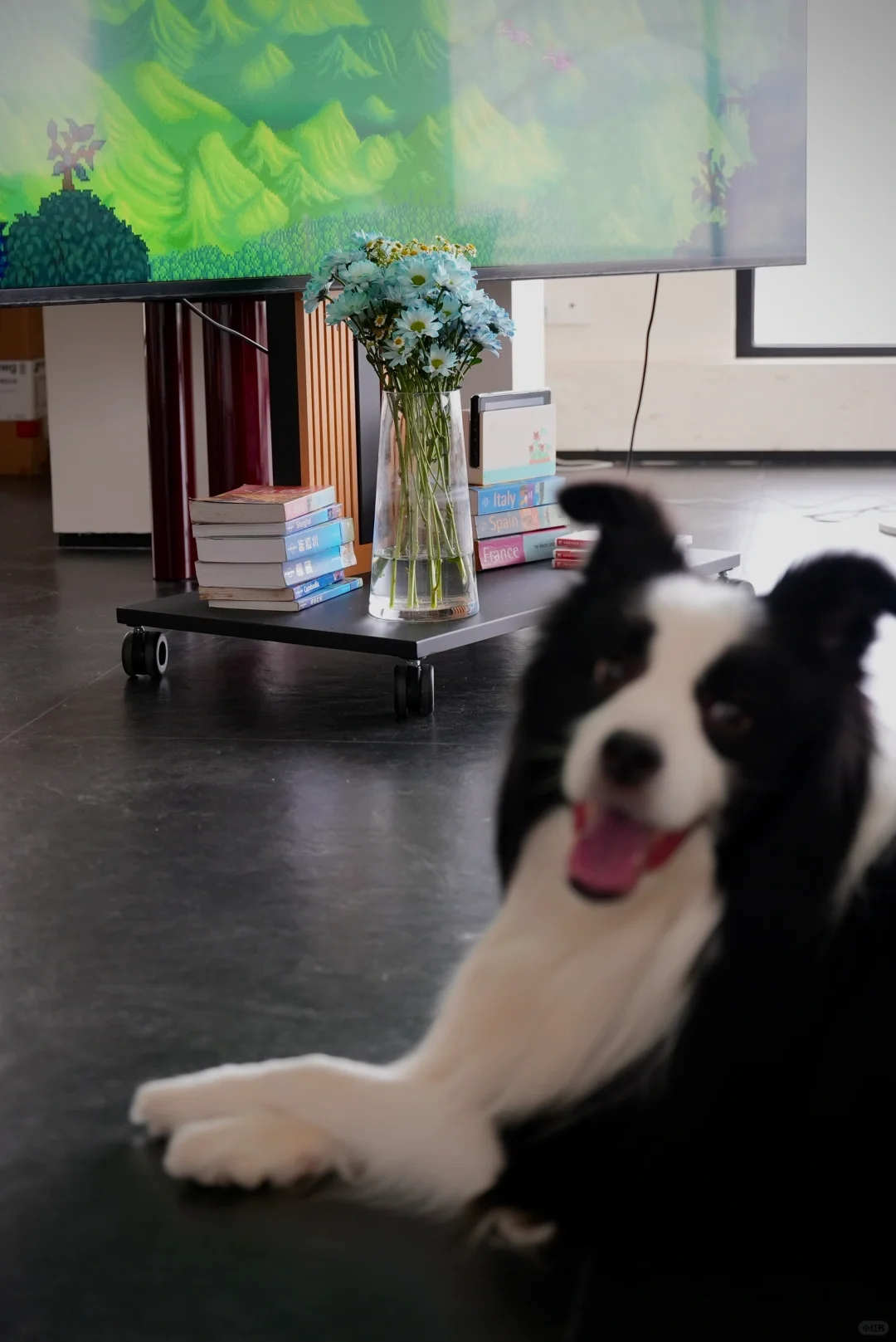 At Home｜在没有「客厅」的家和小狗玩星露谷