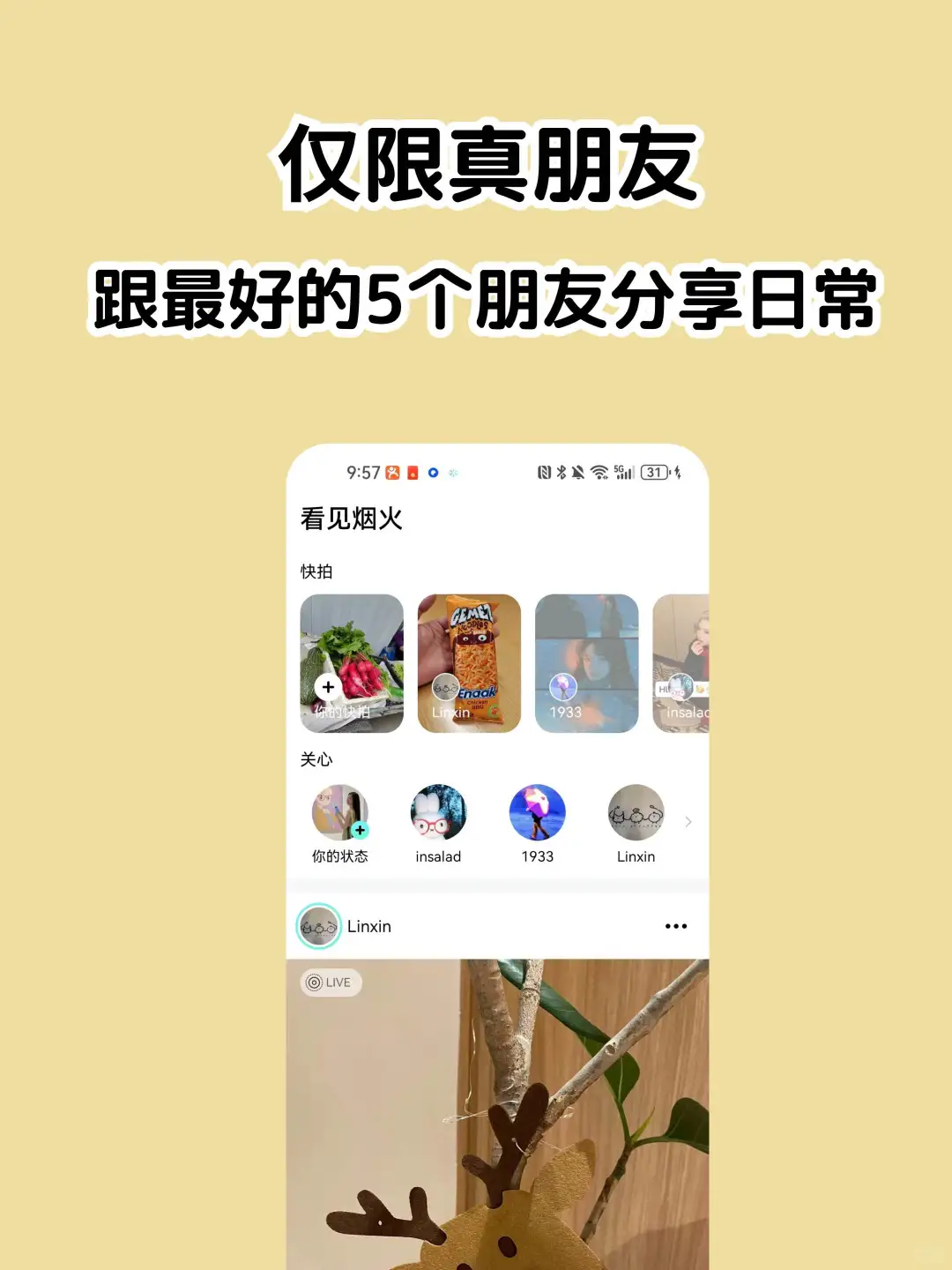 姐妹们，中国版ins来啦❗