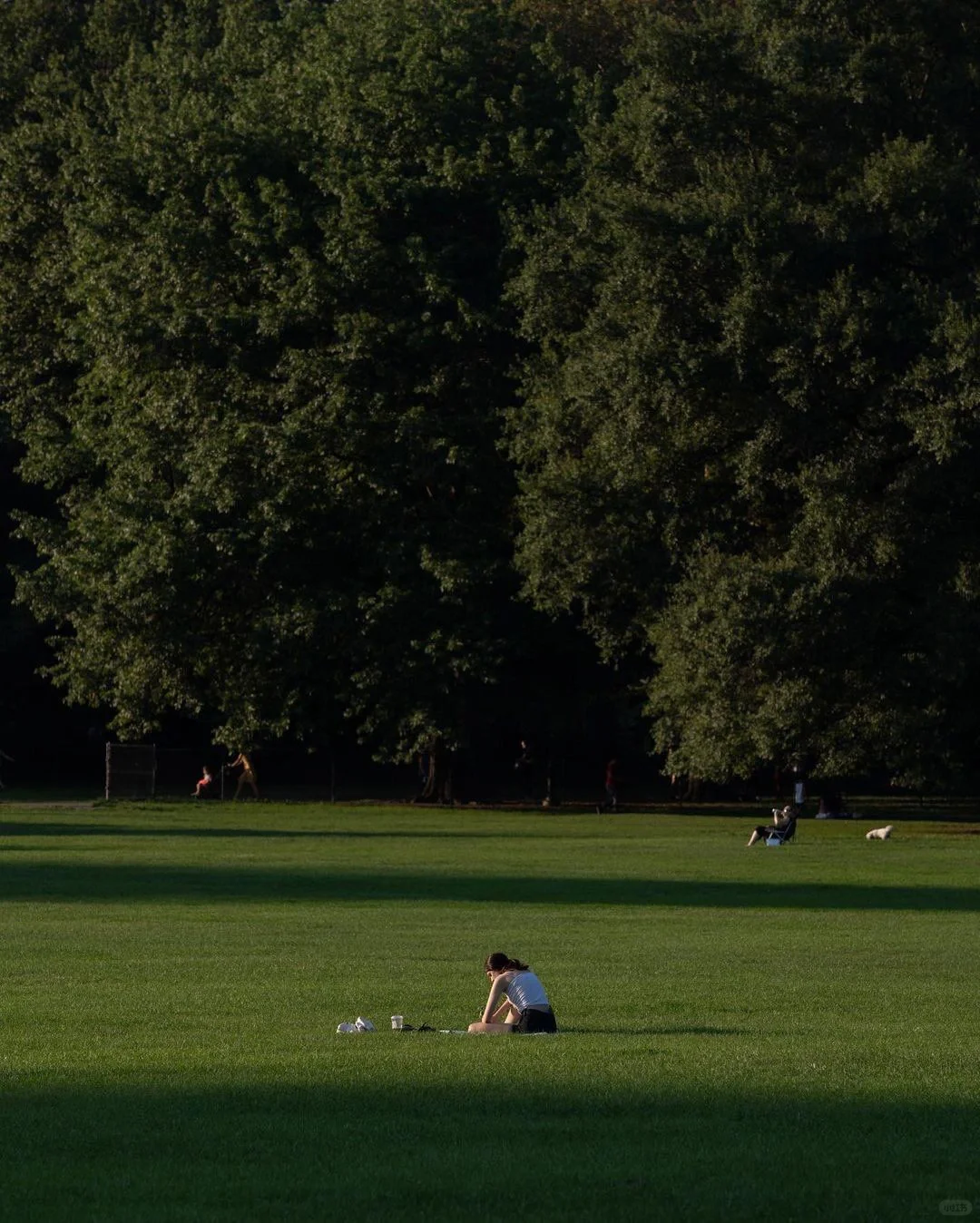 iOS16｜自用的ios16锁屏小组件app分享