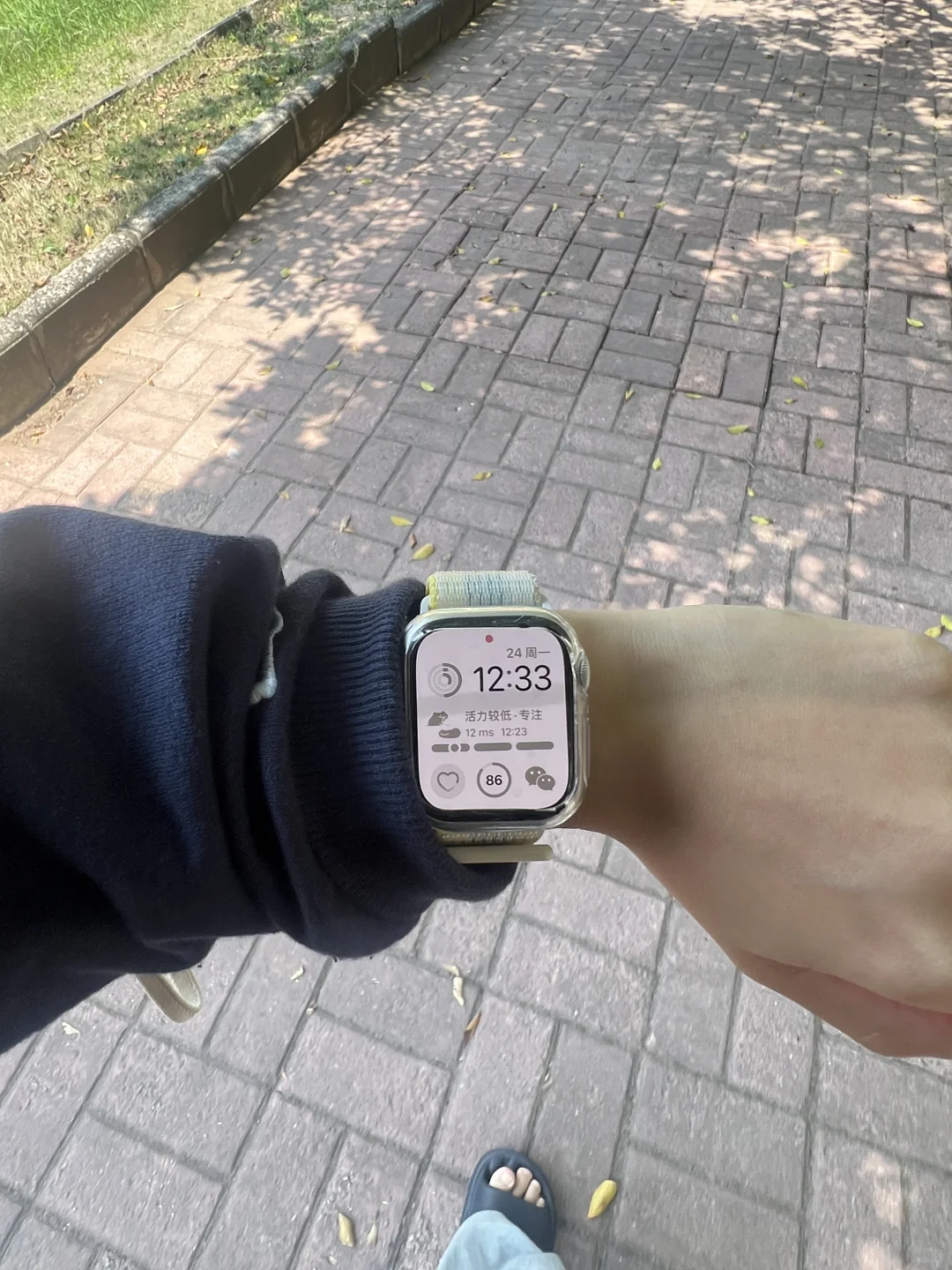 apple watch 女大实测好用app推荐