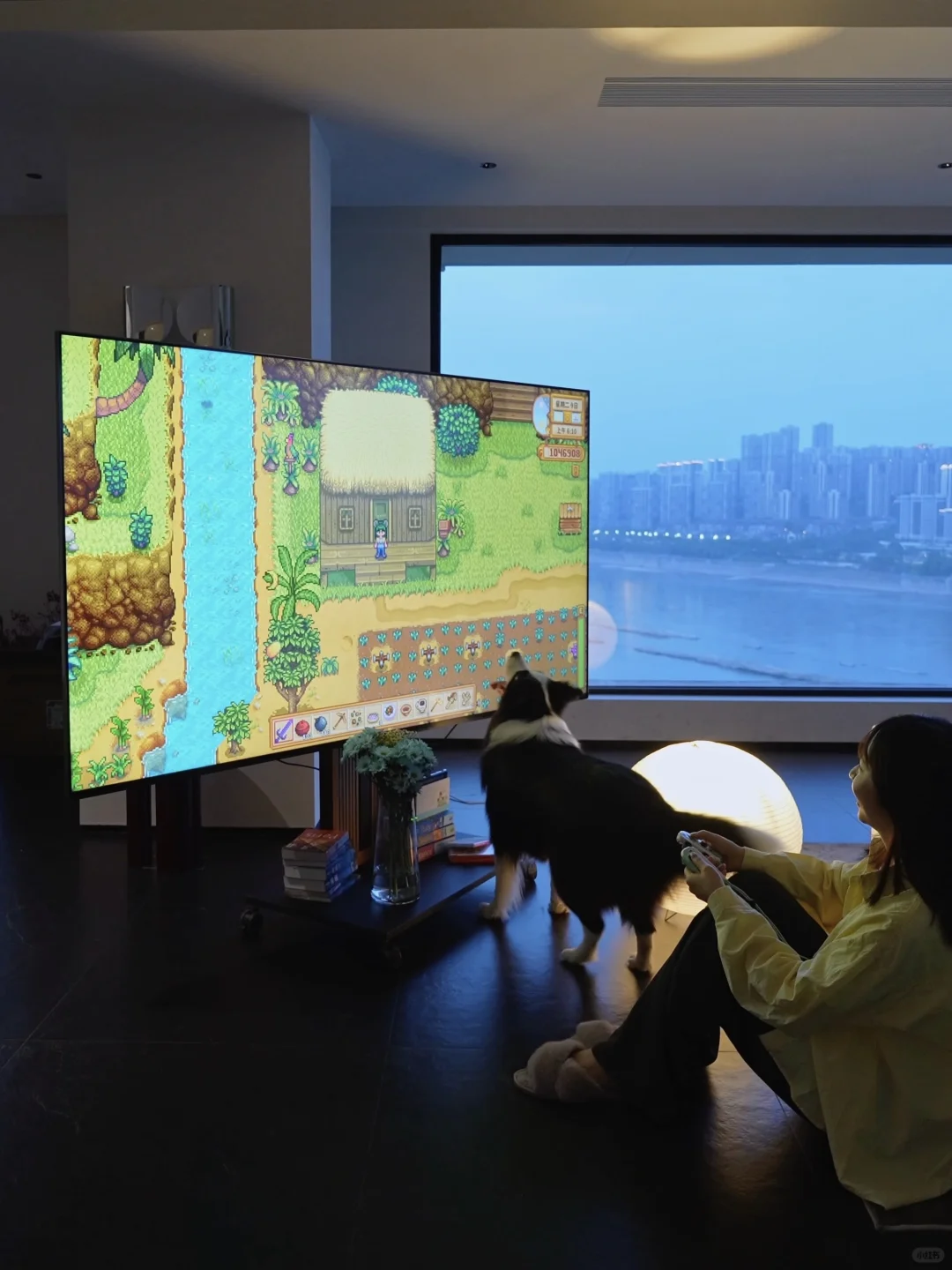 At Home｜在没有「客厅」的家和小狗玩星露谷