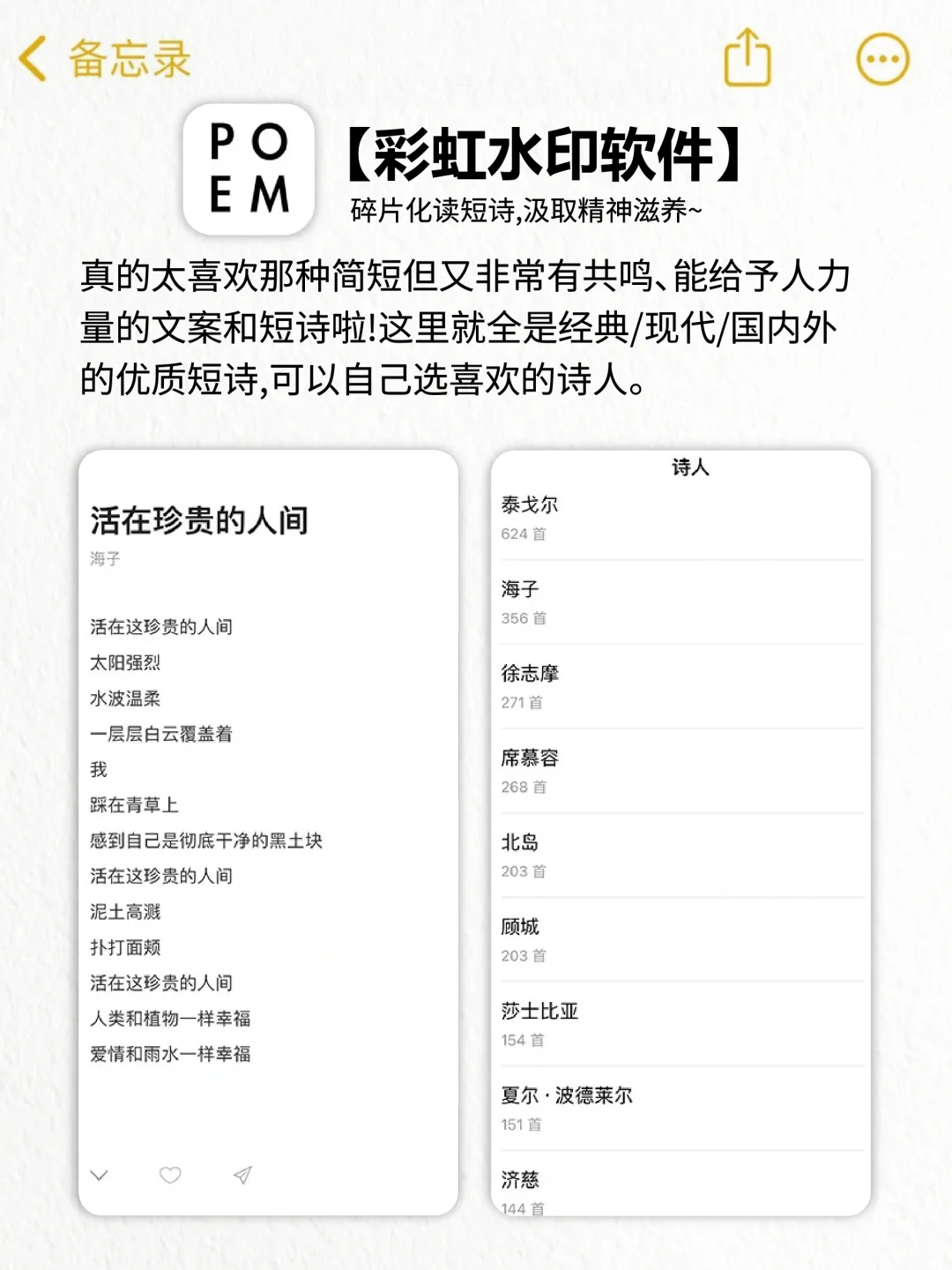 逆天好用！10款令人惊艳的宝藏精致APP