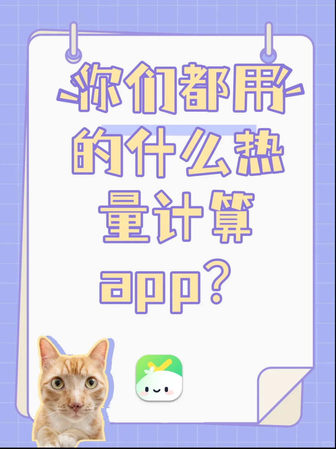 你们都用的什么热量计算app？
